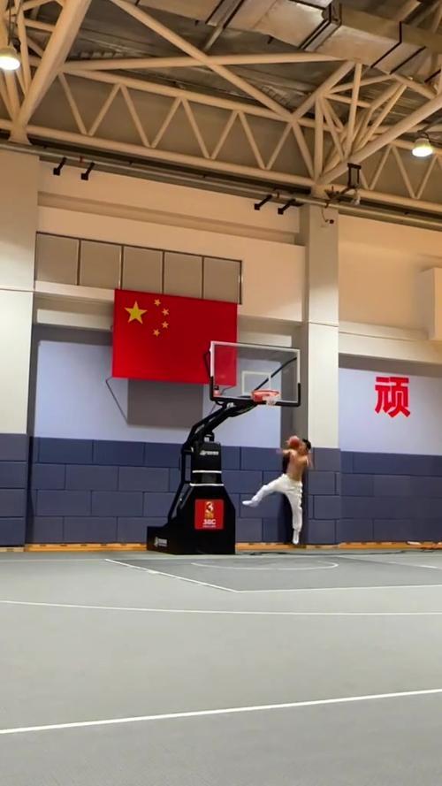 把天赋带到加利福尼亚，赵维伦OTE高光集锦回顾